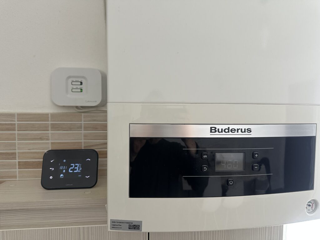 Image #1 from IOAN M.